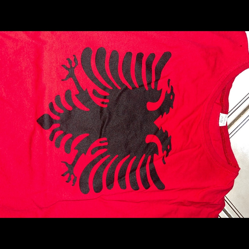 Albanian Flag mens shirt size L good condition